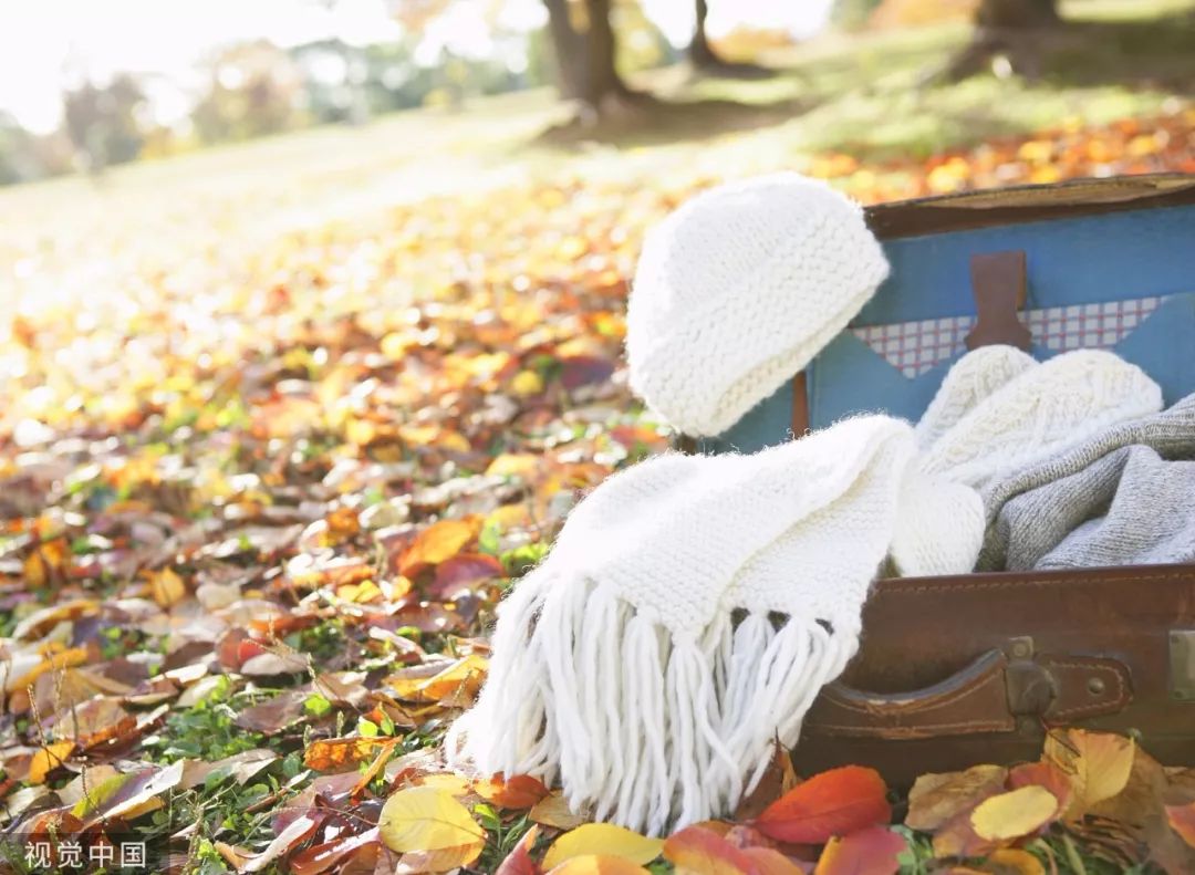 【渭南青年网】今日霜降：入冬前最重要的日子