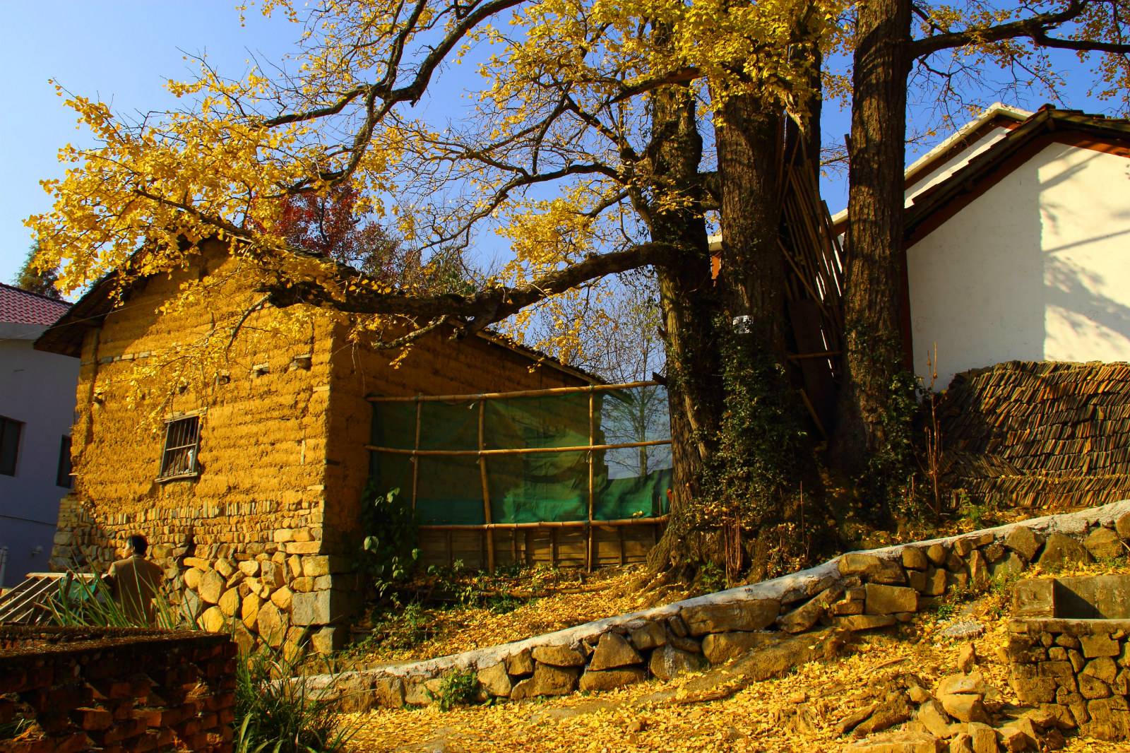 最适合小住几天的小众古村落风景正当时每一眼都让你感到惊艳