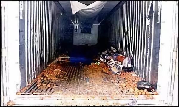 「环球时报」补壹刀：载39具中国人尸体“死亡卡车”，怎么开到英国的？