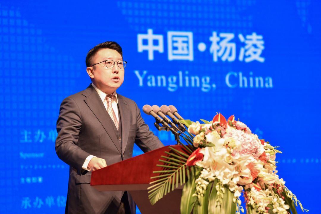 共商合作,共谋发展……"杨凌示范区党工委委员,管委会副主任杜鹏第一