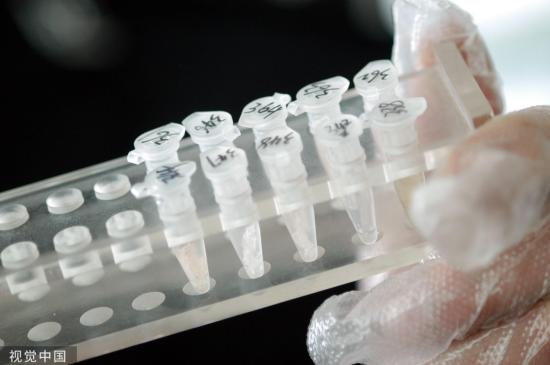 「纵相新闻」“死亡货车”引起全世界关注，英国法医详解如何确认遗体身份