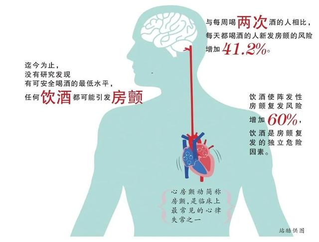 保健时报：日日小酌怡情又养生？当心房颤找上你，根本没有安全饮酒量