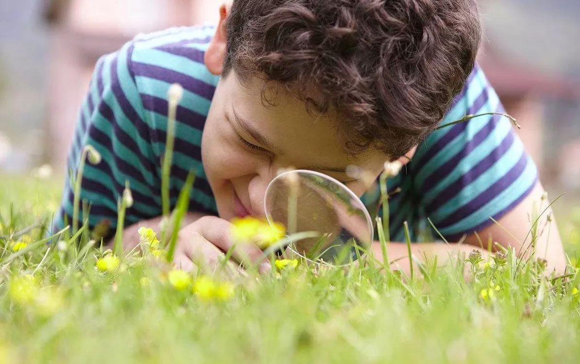 小男孩用放大镜仔细观察花草