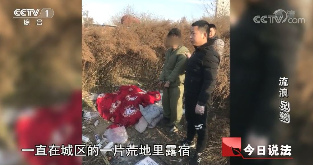 「精读君」没有血缘的小偷“兄弟”，刺痛无数人：如果养不了，我劝你别生