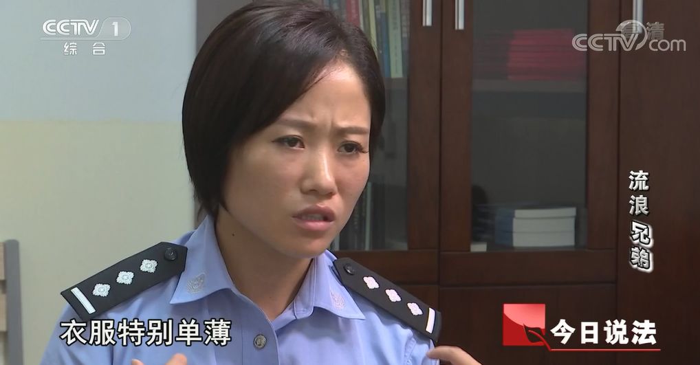「精读君」没有血缘的小偷“兄弟”，刺痛无数人：如果养不了，我劝你别生