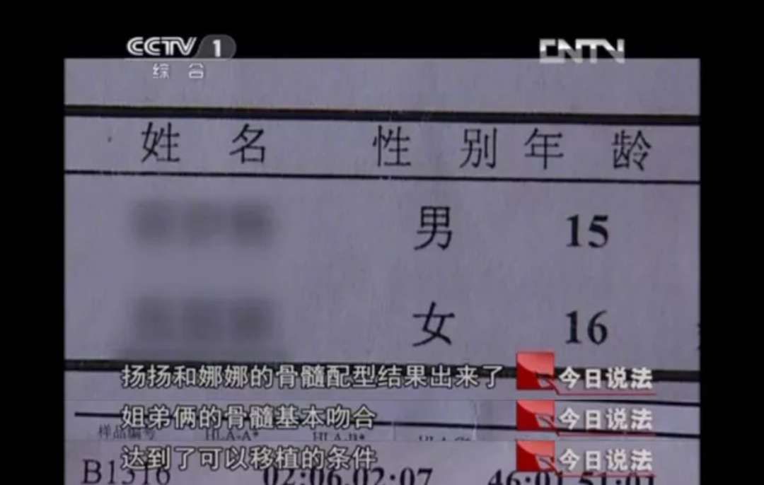 「精读君」没有血缘的小偷“兄弟”，刺痛无数人：如果养不了，我劝你别生