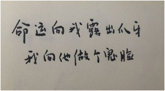 不二大叔：那个死在集装箱的26岁越南少女，她经历的绝望你想象不到