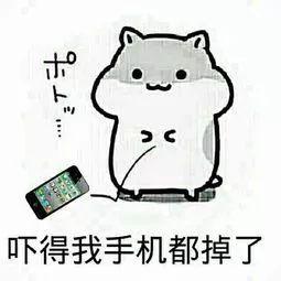 珠江时报■多看屏幕老得快？是的！还会损坏脑细胞和视网膜