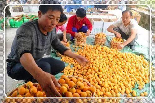 农业科技报：农村创业致富门路有哪些？这些领域你考虑过吗……