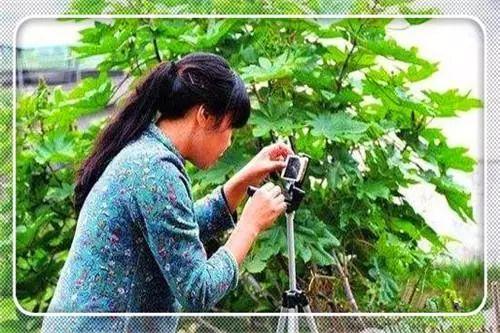 农业科技报：农村创业致富门路有哪些？这些领域你考虑过吗……