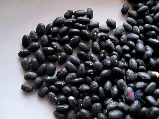 科普中国■吃粗粮对身体好？大错特错！这些人常吃就是自毁身体……