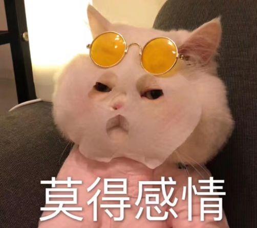 #半岛晨报#小伙苦寻大舅哥：倾家荡产借给他77万，抵押了房产，还办了贷款……