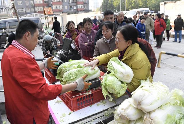 [生活报]北京冬储大白菜开卖还是“白菜价”只买不储成新趋势