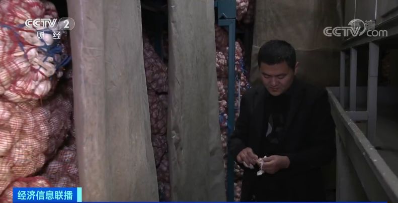 「中国质量万里行」新蒜价格爬上三年新高 蒜商还舍不得卖 却让它们赶上了好时机