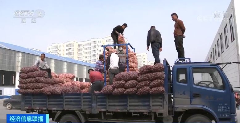 「中国质量万里行」新蒜价格爬上三年新高 蒜商还舍不得卖 却让它们赶上了好时机
