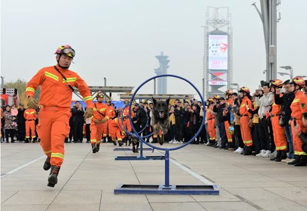 【生活报】北京市启动2019年度“119”消防宣传月活动