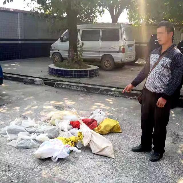 「南国今报」小客车内藏着“动物园”交警打开车门后惊呆了……