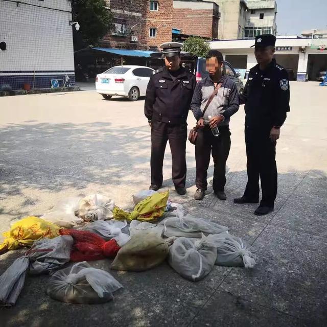 「南国今报」小客车内藏着“动物园”交警打开车门后惊呆了……