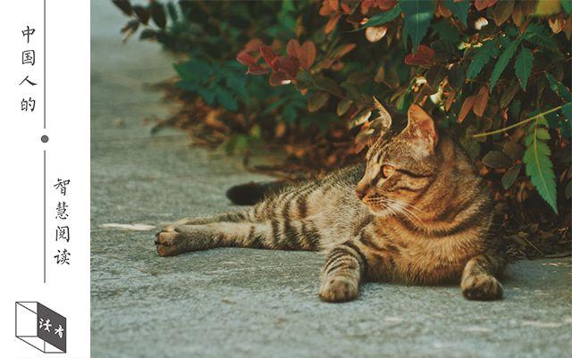 「读者」“生性凉薄”的人，最值得深交