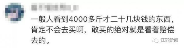 半岛晨报：26元买4500斤脐橙？网友疯狂下单700万致网店倒闭