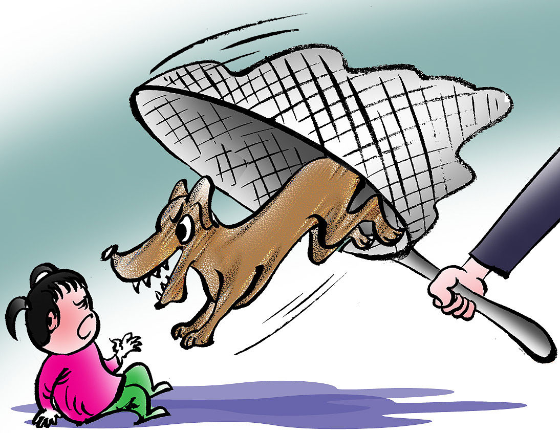 「海峡消费报」遛狗不牵绳、吠叫惊吓他人…… 爱犬“闯祸”谁去担责任