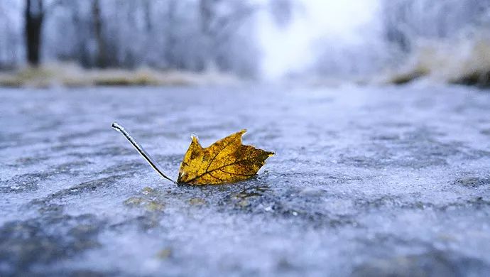 #解放日报#今年不会是冷冬，但“双11”有强冷空气“发货”