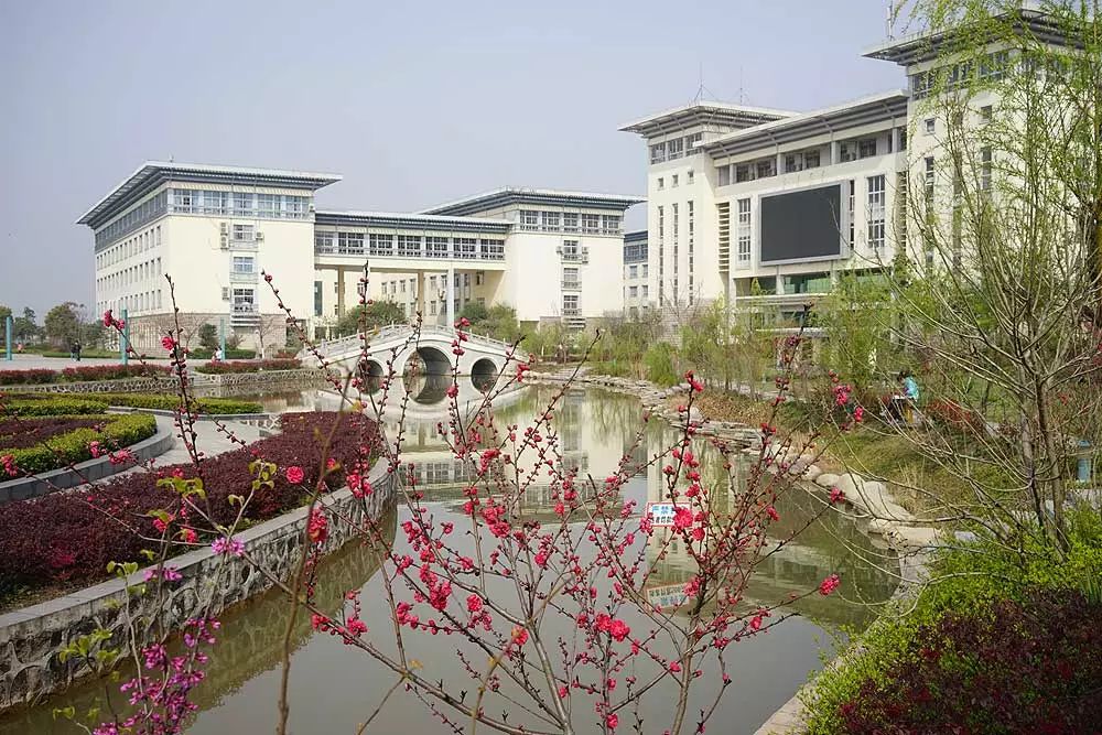 人民日报■学霸女孩放弃保研再次高考，原因让人泪目……