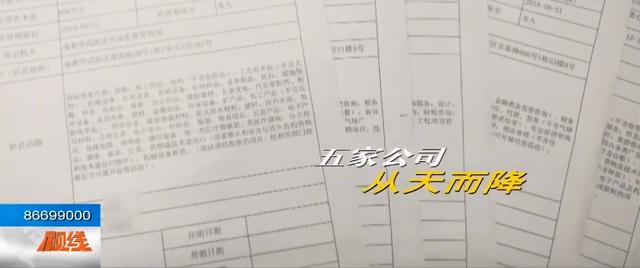 「海峡消费报」靠政府低保过日子的一家人，名下竟有5家公司？调查之后众人愣了