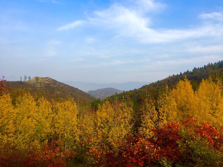 巩义嵩阴深秋美景上线这颜值迷了眼醉了心