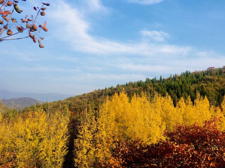 巩义嵩阴深秋美景上线这颜值迷了眼醉了心