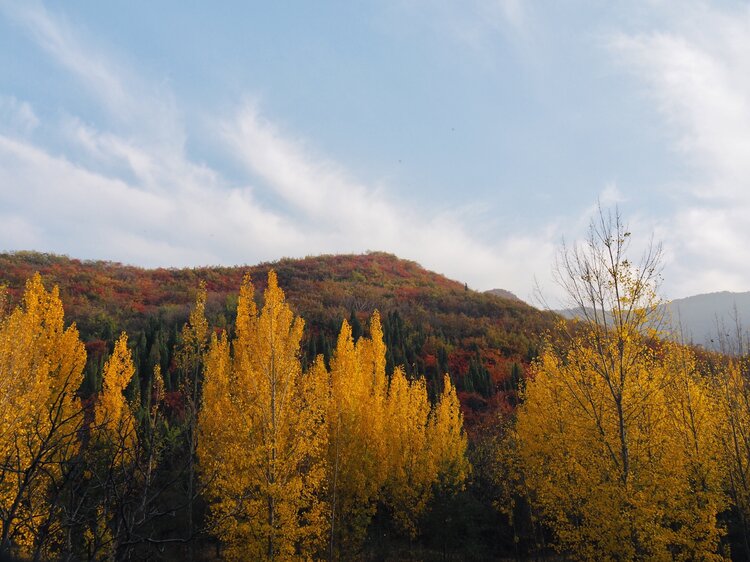巩义嵩阴深秋美景上线这颜值迷了眼醉了心