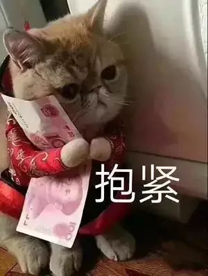 「中国质量万里行」「警示」见者远离！警方破获“中国物联网分红卡”诈骗案