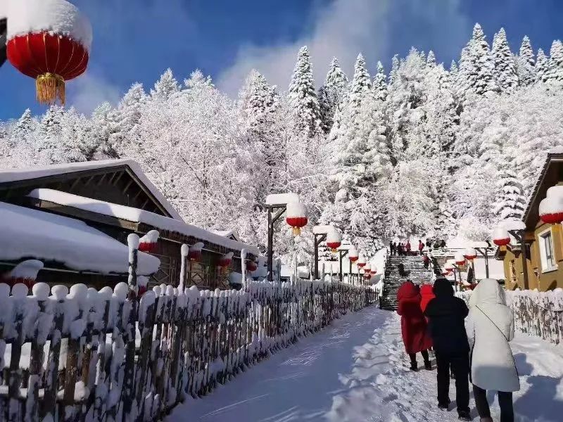 林区生产原貌基地,中华祈福园三处新看点,其中"中国雪乡"狂欢大舞台