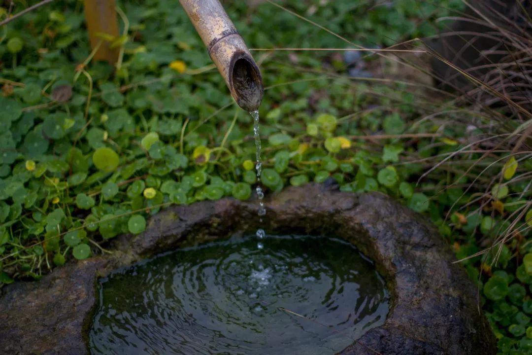 的大山每一寸苔藓,都有着丰富的故事在拈花湾却是营造禅意最重要的