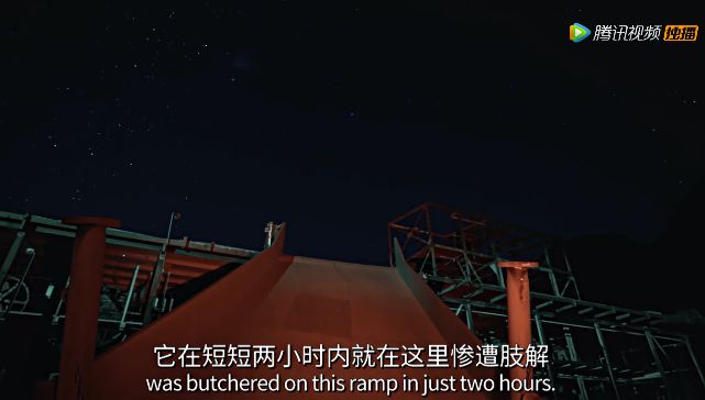 【瞭望智库】冒死拍出的9.8分神作，一亿人看哭了：美丽的背后竟满目疮痍！
