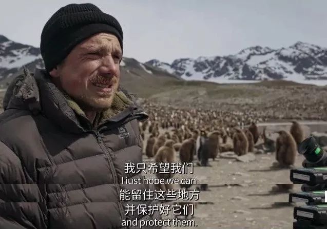 【瞭望智库】冒死拍出的9.8分神作，一亿人看哭了：美丽的背后竟满目疮痍！
