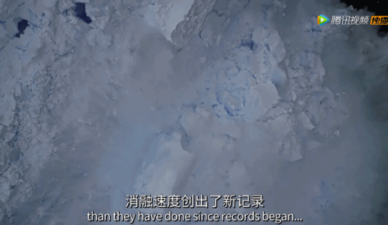 【瞭望智库】冒死拍出的9.8分神作，一亿人看哭了：美丽的背后竟满目疮痍！