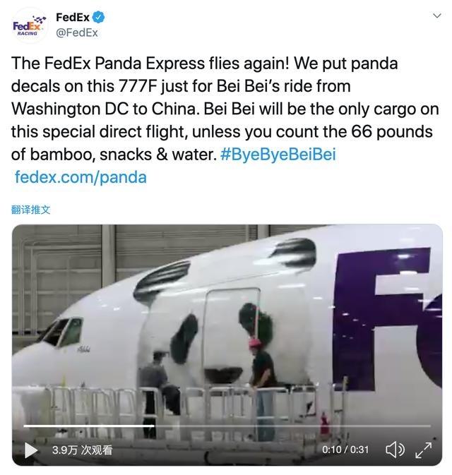 [纵相新闻]美国出生的大熊猫“贝贝”要回中国了！将乘专机吃竹子听音乐