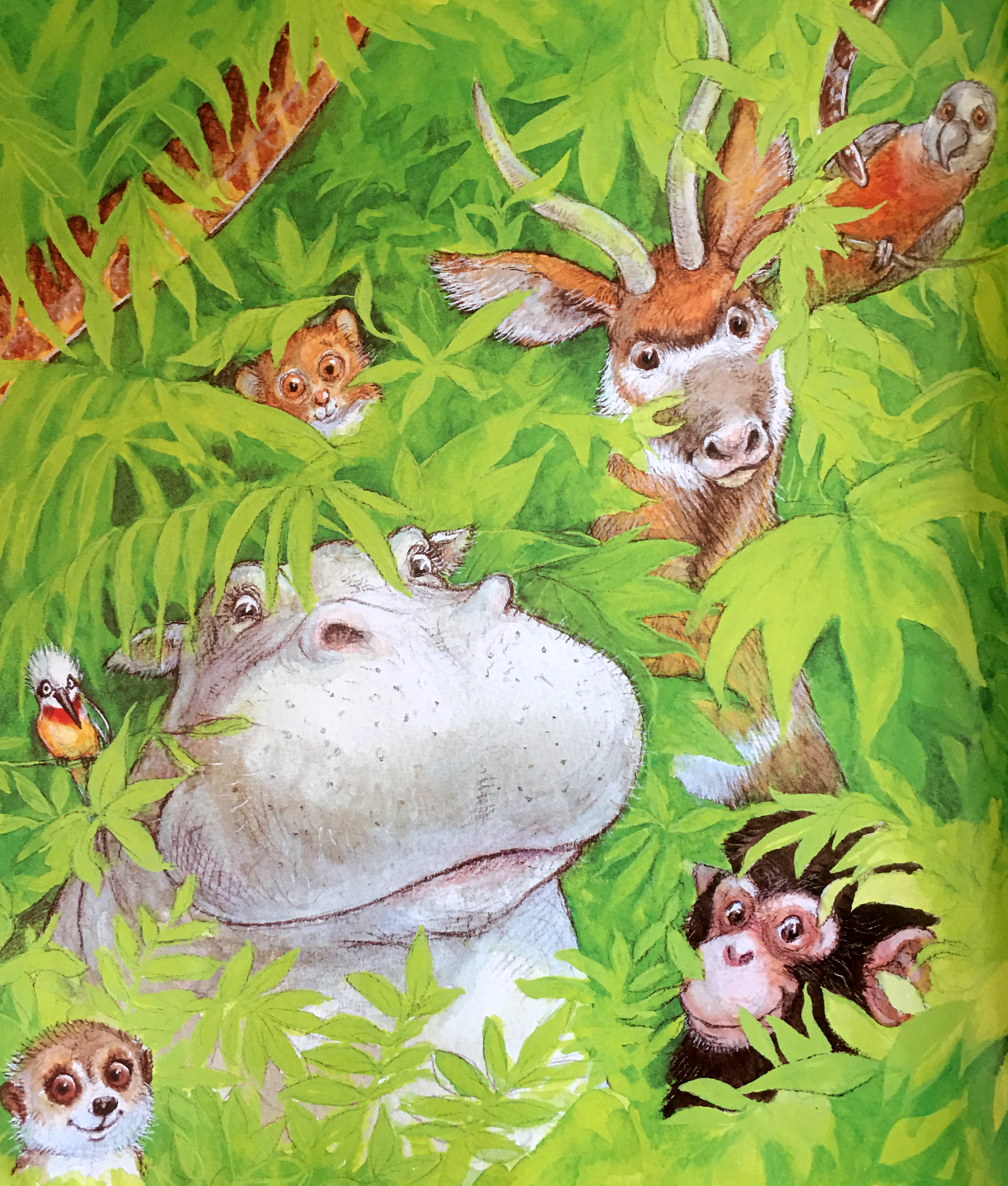 儿童插画丛林里的动物充满童趣和爱的插画为每一张点赞