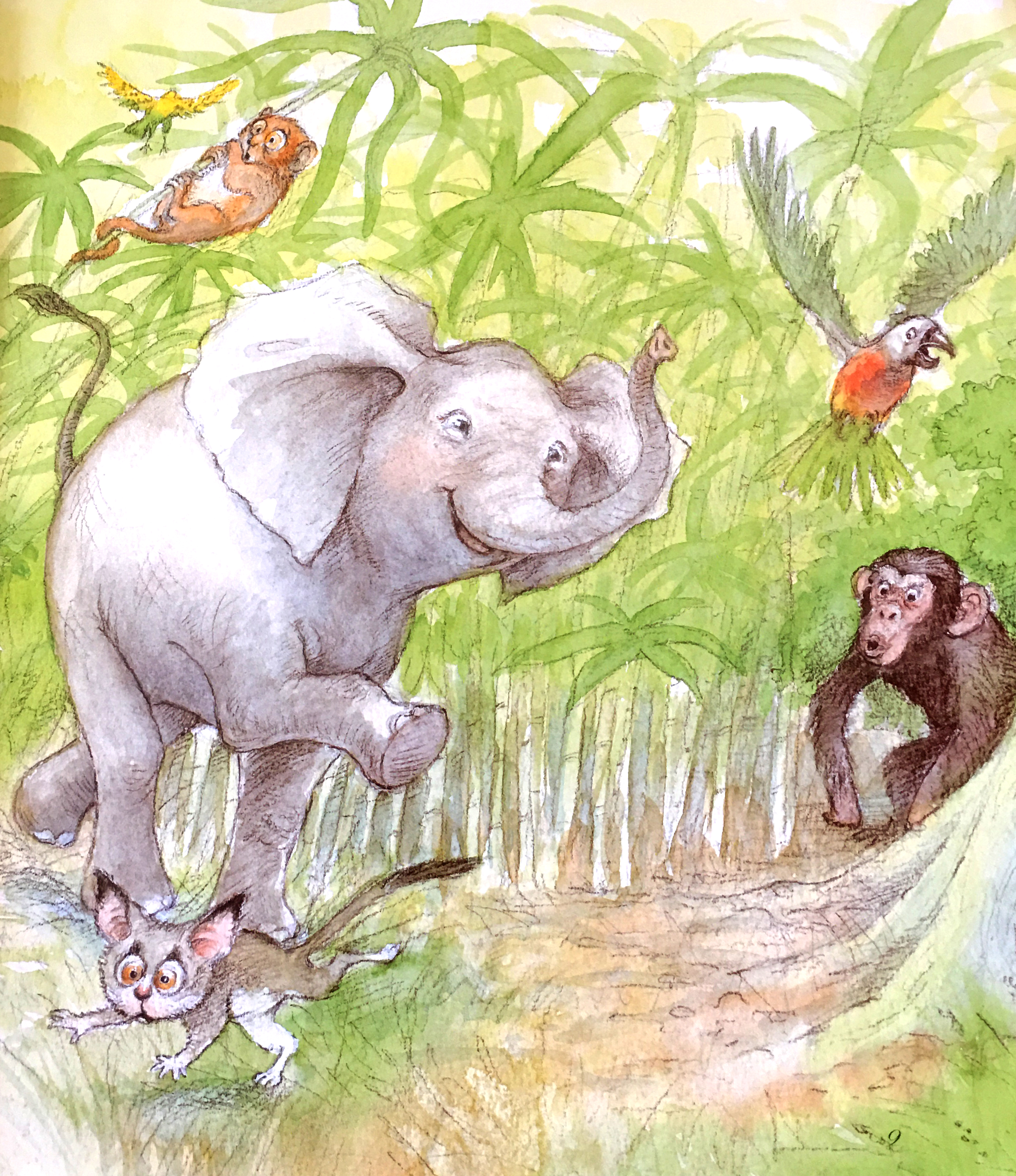 儿童插画丛林里的动物充满童趣和爱的插画为每一张点赞