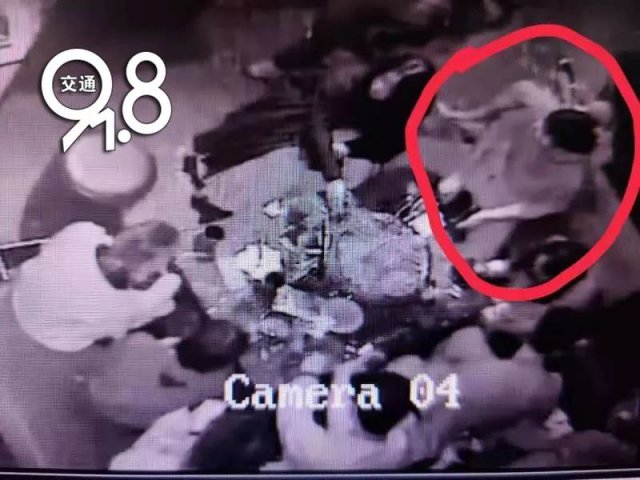 「半岛晨报」女子醉倒车上，裤子里一直发出滴滴声