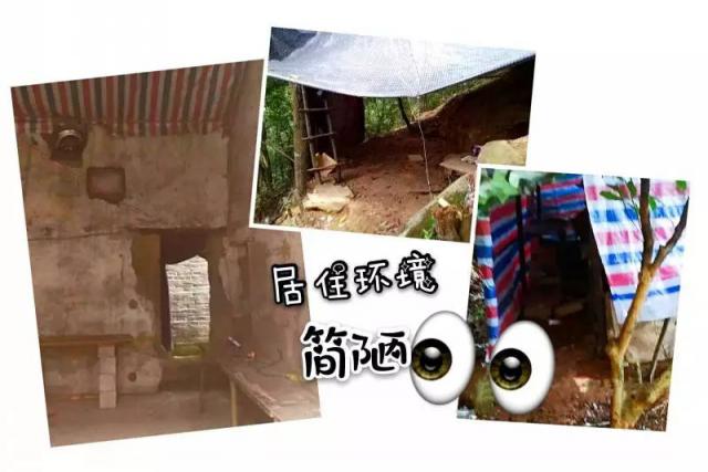 【半岛晨报】连骗子都这么拼了，你还有什么理由懈怠！