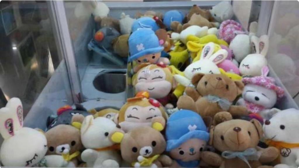中国质量万里行@又一创业骗局被曝光