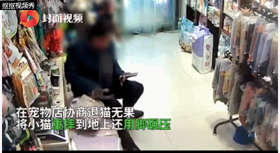 半岛晨报■愤怒！女子退猫未果，拿猫撒气将其摔地狠踩