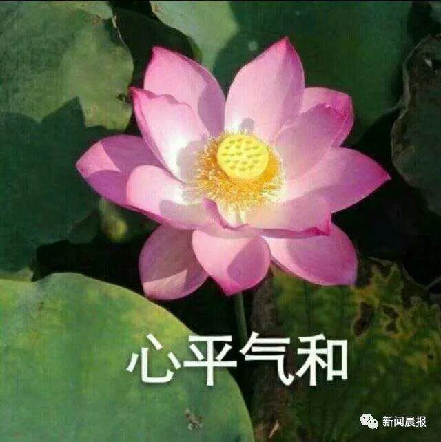 #半岛晨报#“哈哈哈哈你也有今天！”翻到23年前的家书，母亲笑哭“苍天饶过谁！”