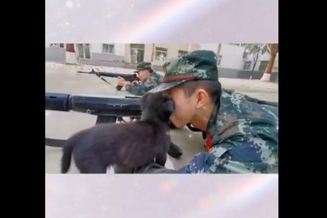 「鄂尔多斯发布」偷亲兵哥哥！没想到你是这样的狗子
