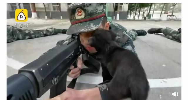 「鄂尔多斯发布」偷亲兵哥哥！没想到你是这样的狗子