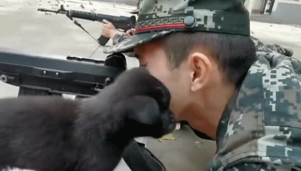 「鄂尔多斯发布」偷亲兵哥哥！没想到你是这样的狗子