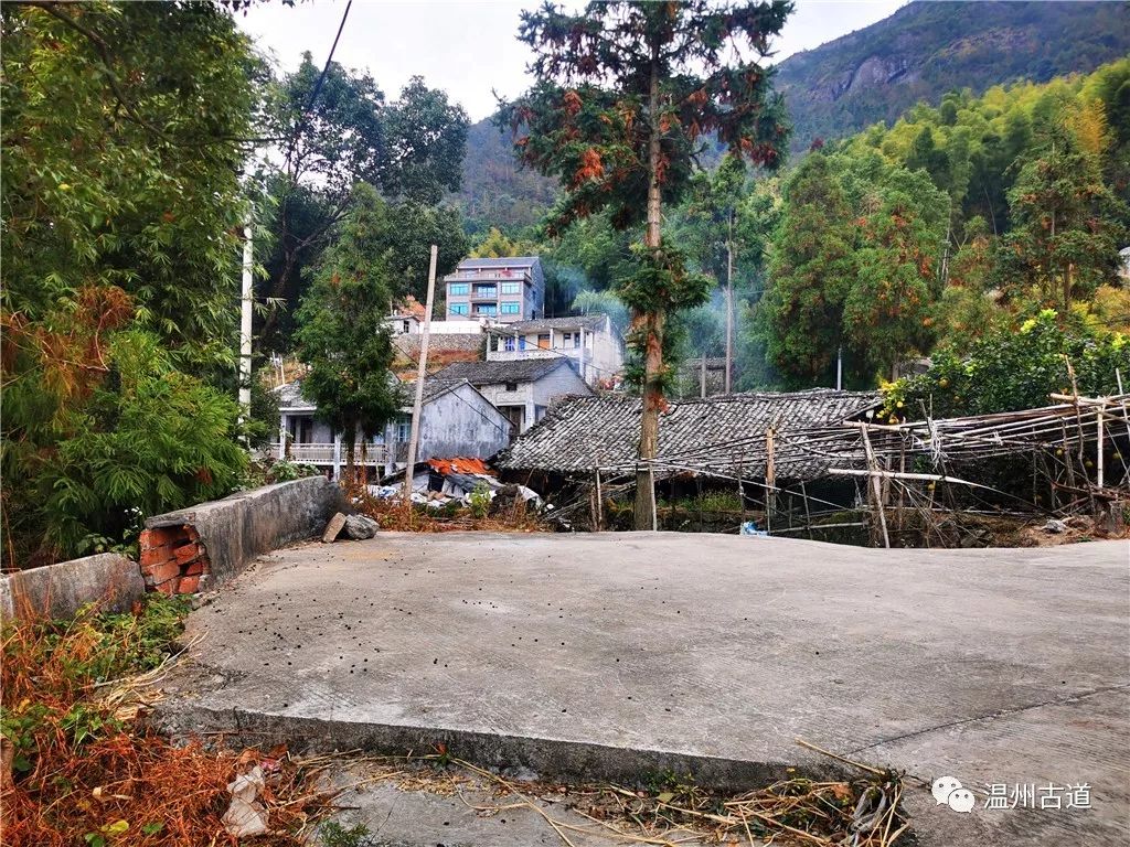 永嘉峙口大龙山峰奇石秀秋色浓郁风光旖旎值得秋游去