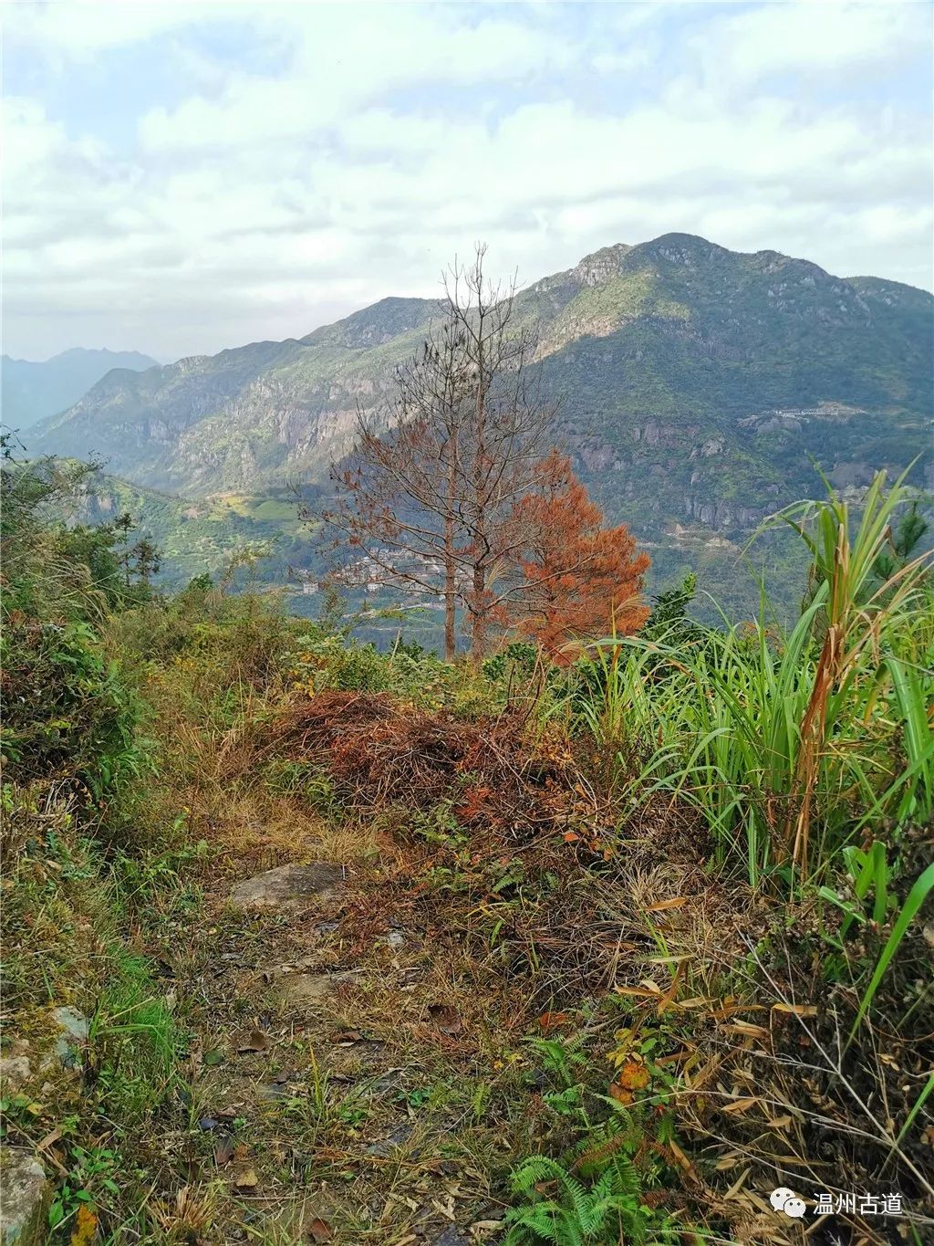 永嘉峙口大龙山,峰奇石秀秋色浓郁风光旖旎,值得秋游去!_人民号